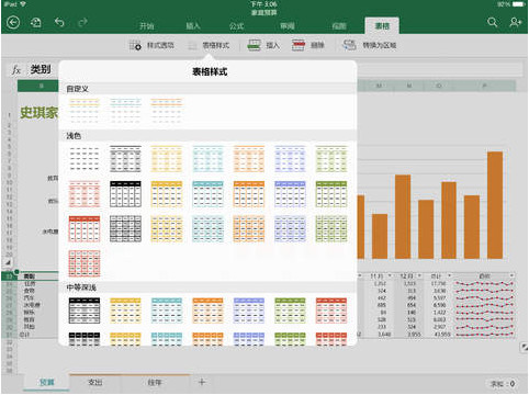 Microsoft Excel iPad版截图