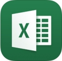 Microsoft Excel iPad版