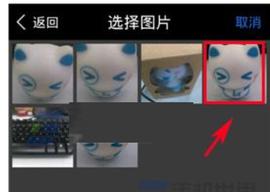 玩图贴纸添加到照片上的简单教程截图