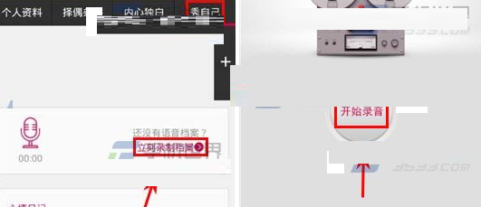 在红娘网中进行录制语音档案的详细方法截图