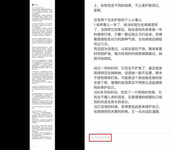在微信中进行长截图的操作教程截图