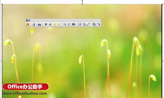 WPS演示的母版功能实现幻灯片的背景的操作步骤截图