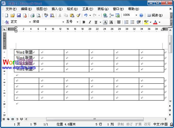 在Word2003文档中快速拆分表格的方法截图