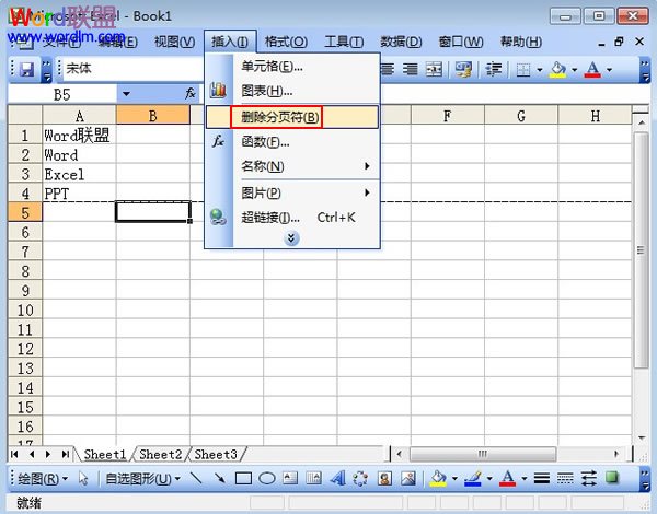 在Excel2003表格中单元格下的分页符如何删除截图
