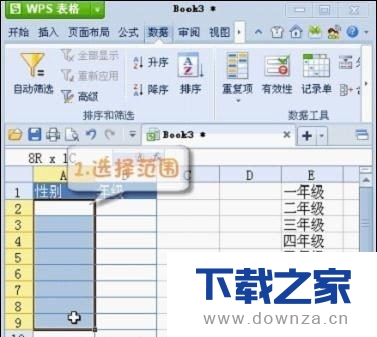 怎样利用WPS表格快速输入数据?
