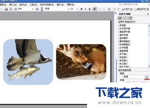 ppt教你轻松制作电子相册的具体方法截图