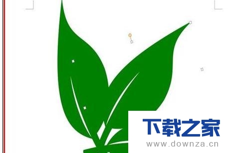教你运用wps文字轻松制作树叶图形的具体流程截图