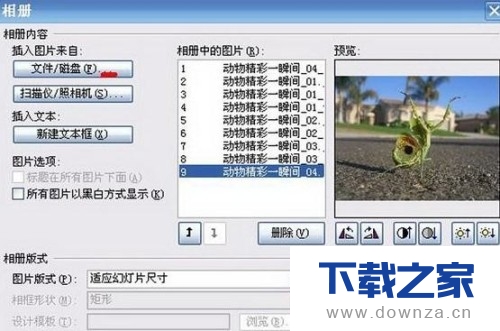 ppt教你轻松制作电子相册的具体方法截图