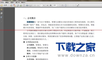 轻松学会wps文档转成加密的PDF文档的小技巧截图