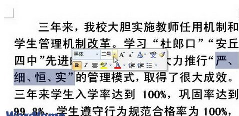 Word2007设置字体大小的四个方法截图