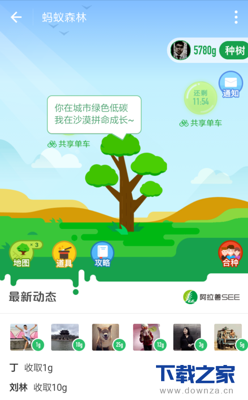 支付宝蚂蚁森林合种主题树的具体步骤