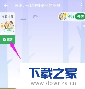 使用支付宝蚂蚁森林邀请微博好友合种的具体步骤