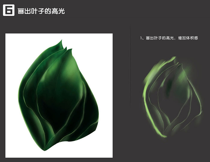 使用Photoshop软件怎么制作被叶子包裹的护肤品海报呢?截图