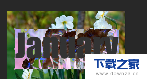 用PS剪贴蒙板 打造花背景文字的具体操作步骤截图
