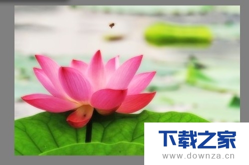 利用光影魔术手给照片增加柔光的具体操作教程截图