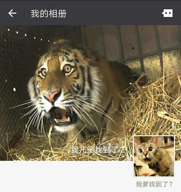 让你的微信朋友圈玩出领异标新的详细教程截图
