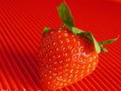 红草莓屏幕录制软件v1.0.0