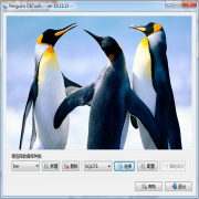 Penguins DbTools绿色版v16.11.13