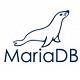 MariaDB数据库管理系统官方版 v11.0.0.5919