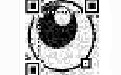 visual qr codes generator