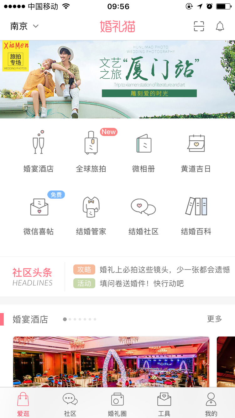 婚礼猫